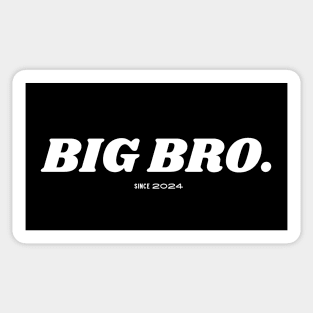 Big brother since 2024 Sticker